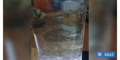 Agua Cristalina sala cuna Fundación Integra Mulchén