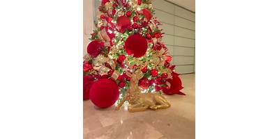 Arbolitos de Sueños sala cuna JUNJI Quilpué