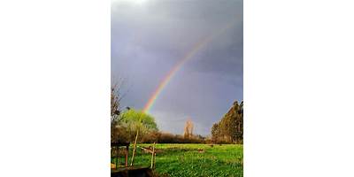 Arcoiris