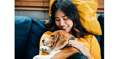 Beagle sala cuna Fundación Integra Vallenar