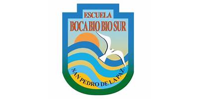 Boca Bio Bio Sur