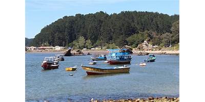 Botecito de Lenga sala cuna JUNJI Hualpén