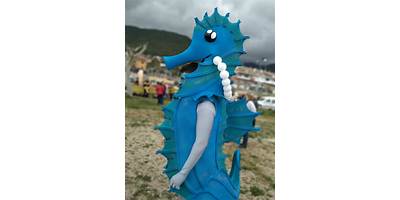 Caballito de Mar