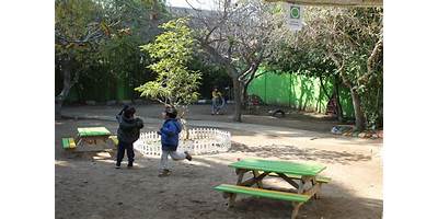 Colibrí