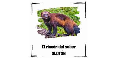 El Rincon del Saber