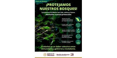Entre Bosques