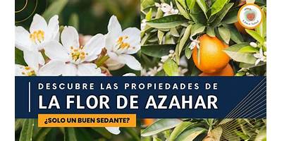 Flor Naciente sala cuna Fundación Integra Machalí