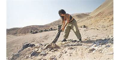 Florcita del Desierto sala cuna JUNJI Iquique