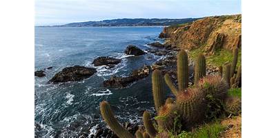 Salas cuna en Pichilemu