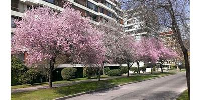 Salas cuna en Primavera