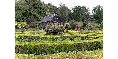 Frutillita sala cuna JUNJI Frutillar