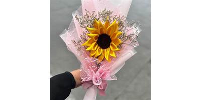 Girasol