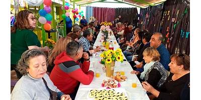 Girasol sala cuna JUNJI Copiapó