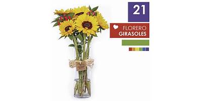 Girasoles