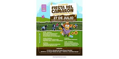 Girasoles de Carampangue sala cuna JUNJI Arauco