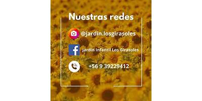 Girasoles sala cuna JUNJI La Serena