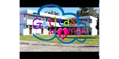 Gotitas de Amor