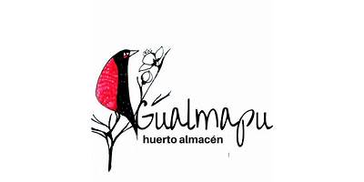 Gualmapu