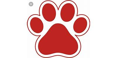 Huellitas del Ranco sala cuna Fundación Integra Futrono