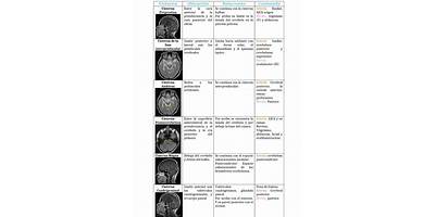 Huellitas sala cuna Fundación Integra La Cisterna