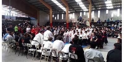 Juan Gomez Millas