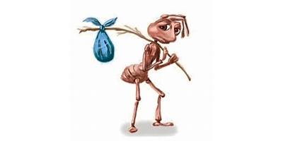 La Hormiguita sala cuna Fundación Integra Bulnes