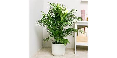 La Palmerita sala cuna JUNJI Puente Alto