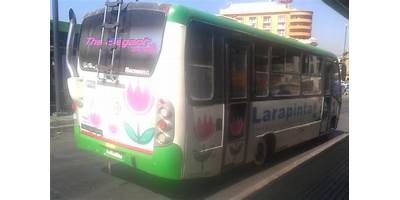 Larapinta sala cuna JUNJI Lampa