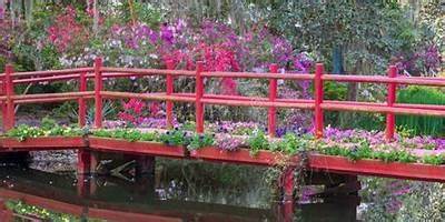 Las Azaleas