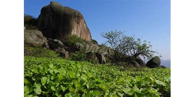 Las Lomas de Carahue
