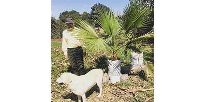 Las Palmeras sala cuna JUNJI Talagante