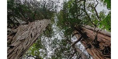 Los Alerces sala cuna Fundación Integra San Joaquín