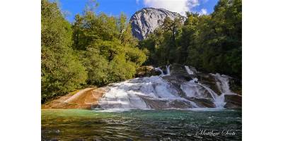 Los Alevines
