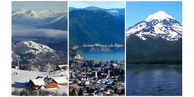 Los Avellanitos