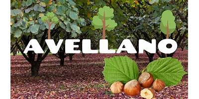 Los Avellanos sala cuna JUNJI Valdivia