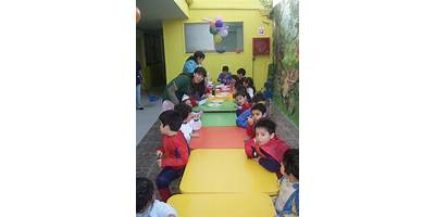 Los Castorcitos