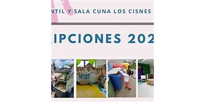 Los Cisnes