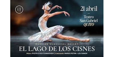 Los Cisnes