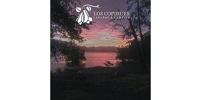 Los Copihues