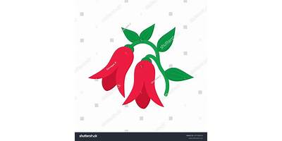 Los Copihues Rojos sala cuna Fundación Integra Puente Alto