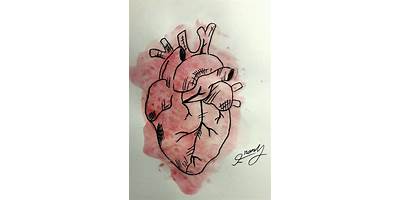 Los Corazoncitos