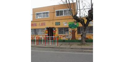 Los Girasoles