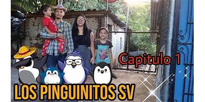 Los Pinguinitos sala cuna JUNJI San Felipe