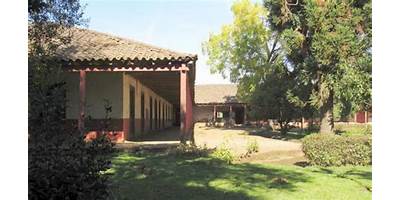 Mariposas