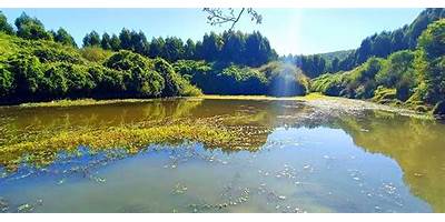 Montahue sala cuna Fundación Integra Penco