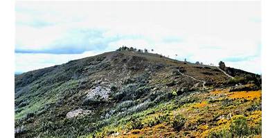 Monte Redondo