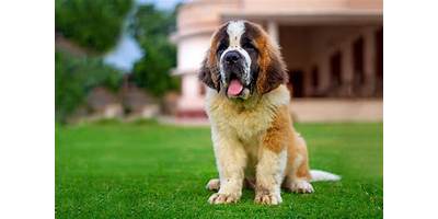 Nuevo San Bernardo sala cuna Fundación Integra San Bernardo