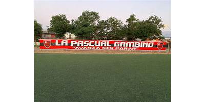 Pascual Gambino