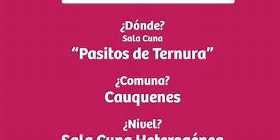 Pasitos de Ternura