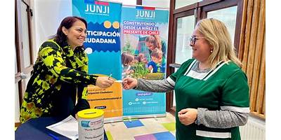 Pasitos del Futuro sala cuna Fundación Integra Los Lagos